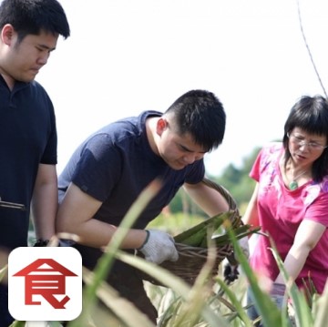 [飲食男女]主婦變農(nóng)婦 三母子打理15萬(wàn)呎蘆薈田 自種自銷(xiāo)蘆薈